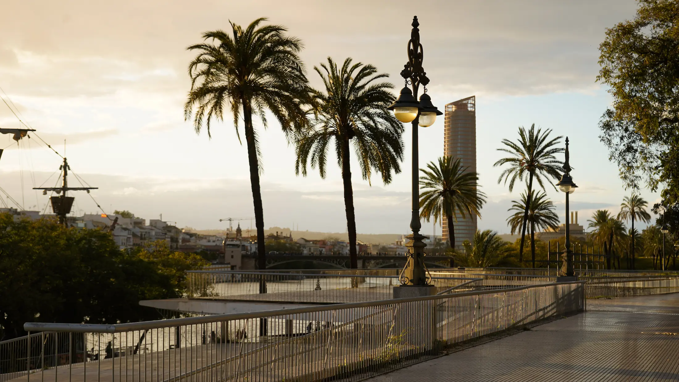 Perspectiva urbana de un paseo con palmeras y la Torre Sevilla destacando en el horizonte