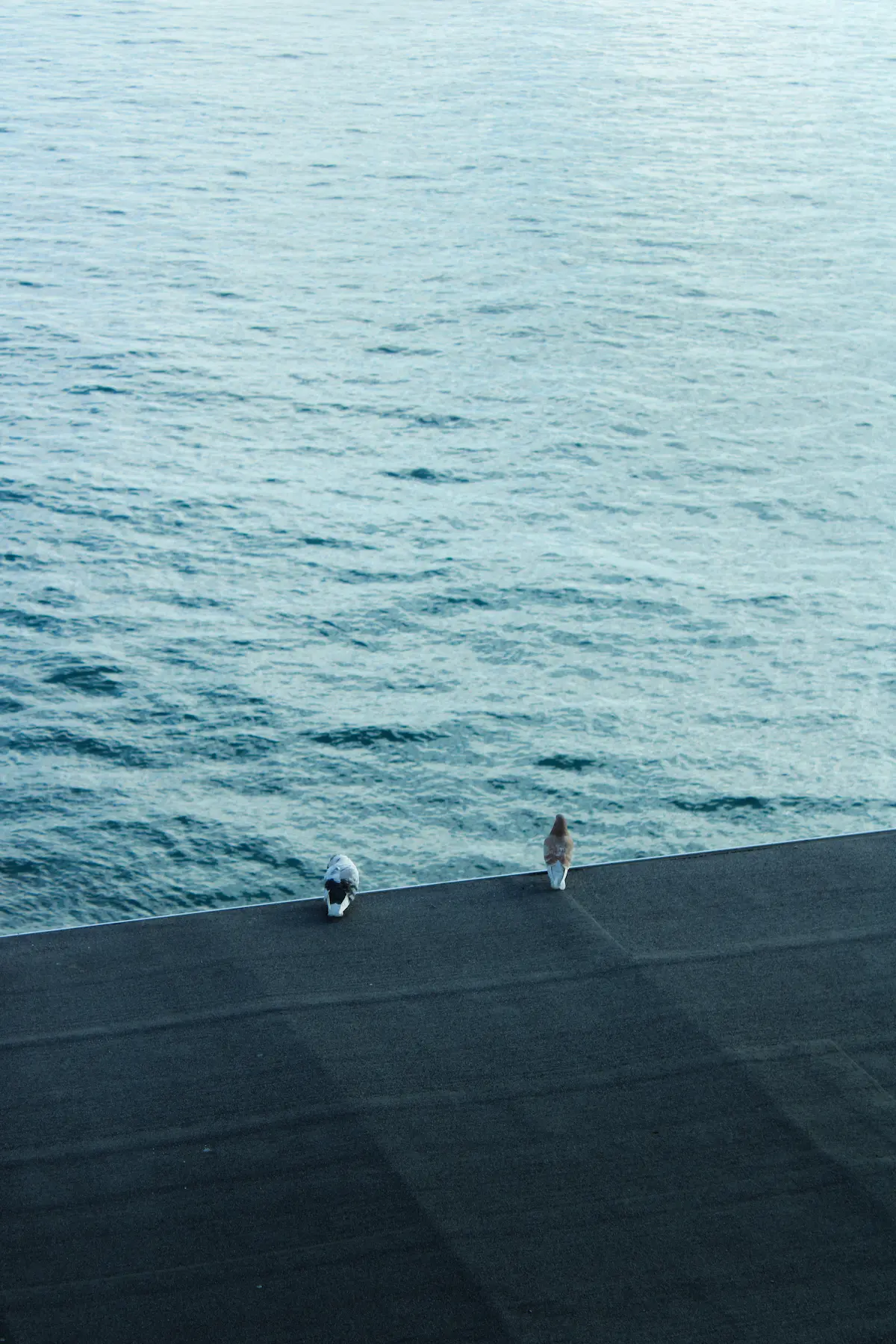 Fotografía de un paseo marítimo con dos palomas posadas observando las aguas del mar