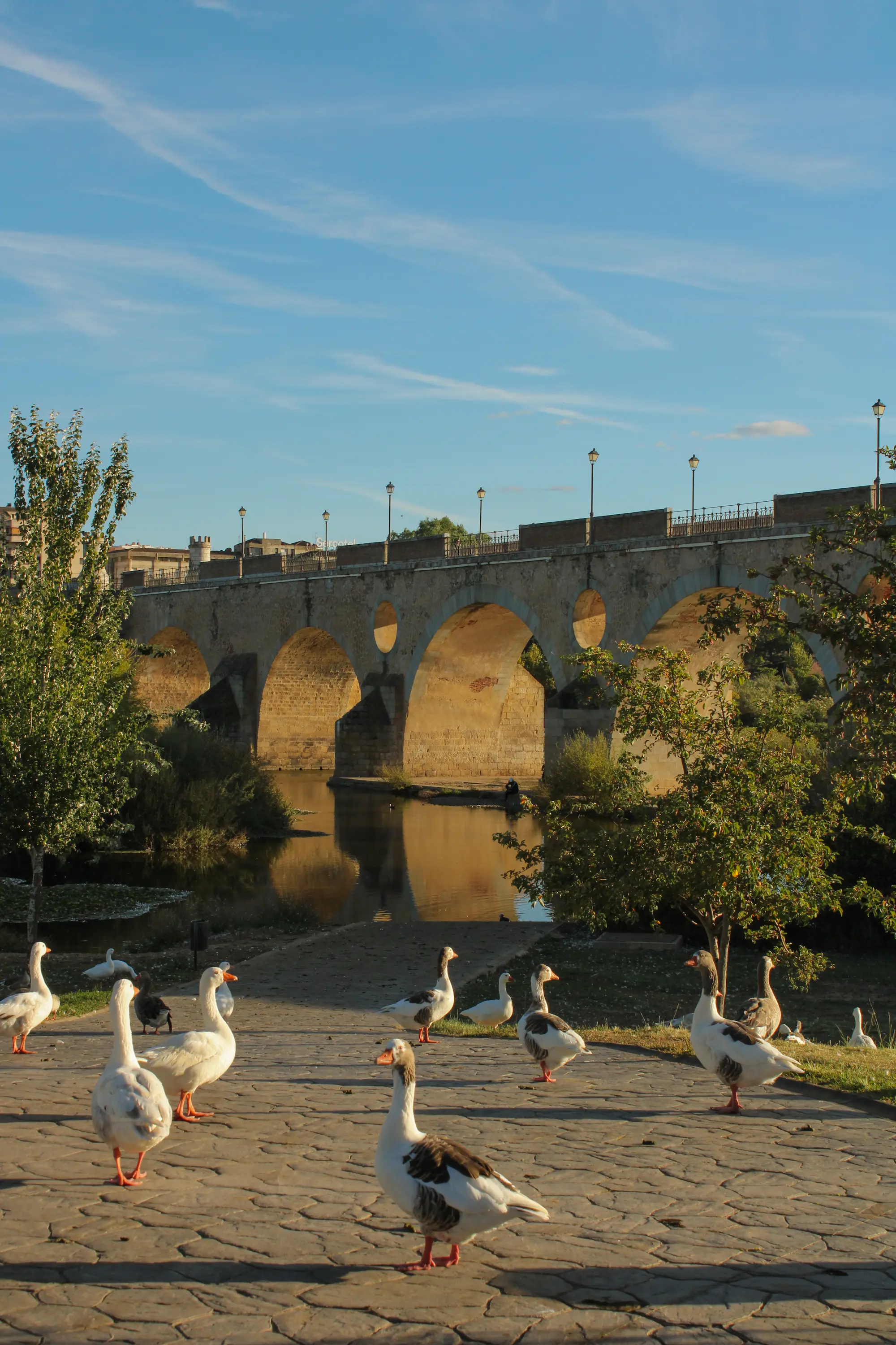 Paisaje con ocas caminando por un sendero empedrado junto al río con un puente de arcos de fondo